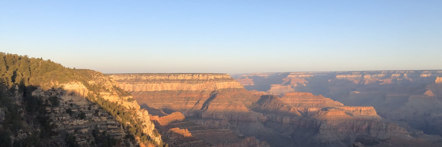 Cassie Freeman banner