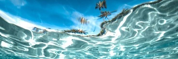 RissaRoyal🦁👩🏾‍⚕️🇯🇲 banner