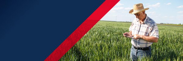 connectmn Profile Banner