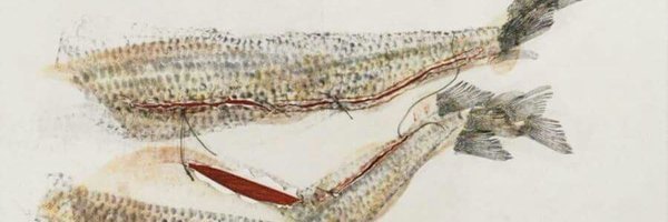 jostruitt Profile Banner