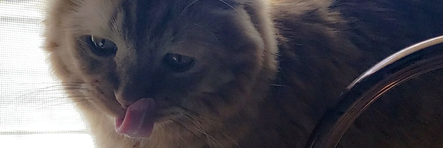 malloribabe's profile banner image