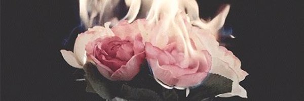 partanx Profile Banner