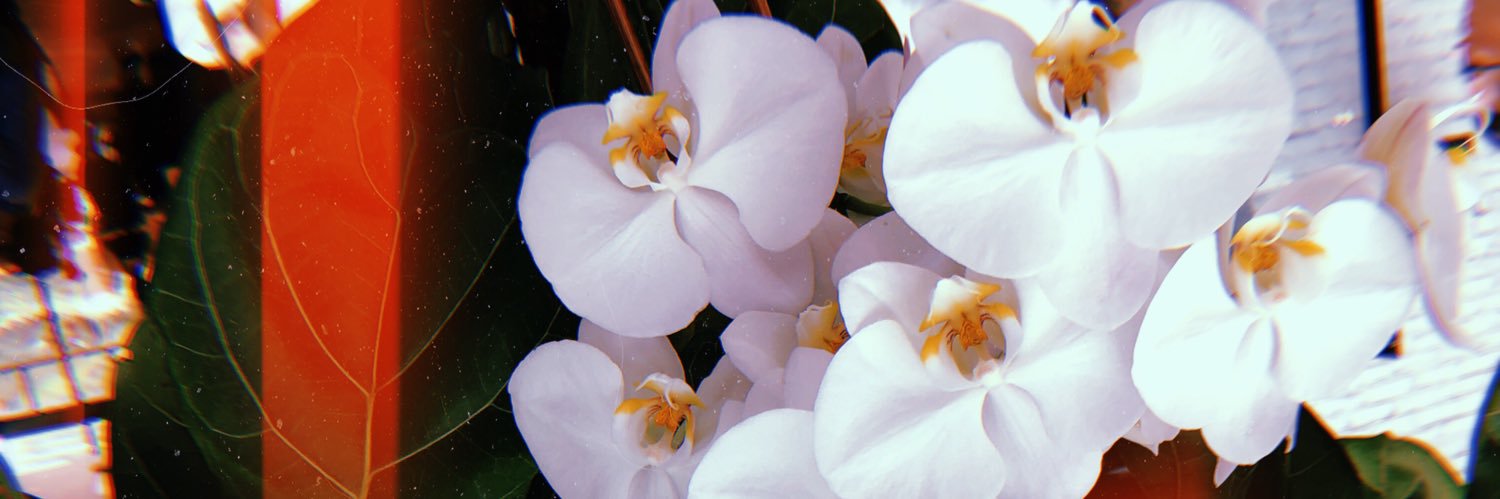 daniearriaga's profile banner image