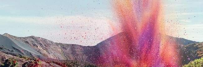 barbararedes's profile banner image