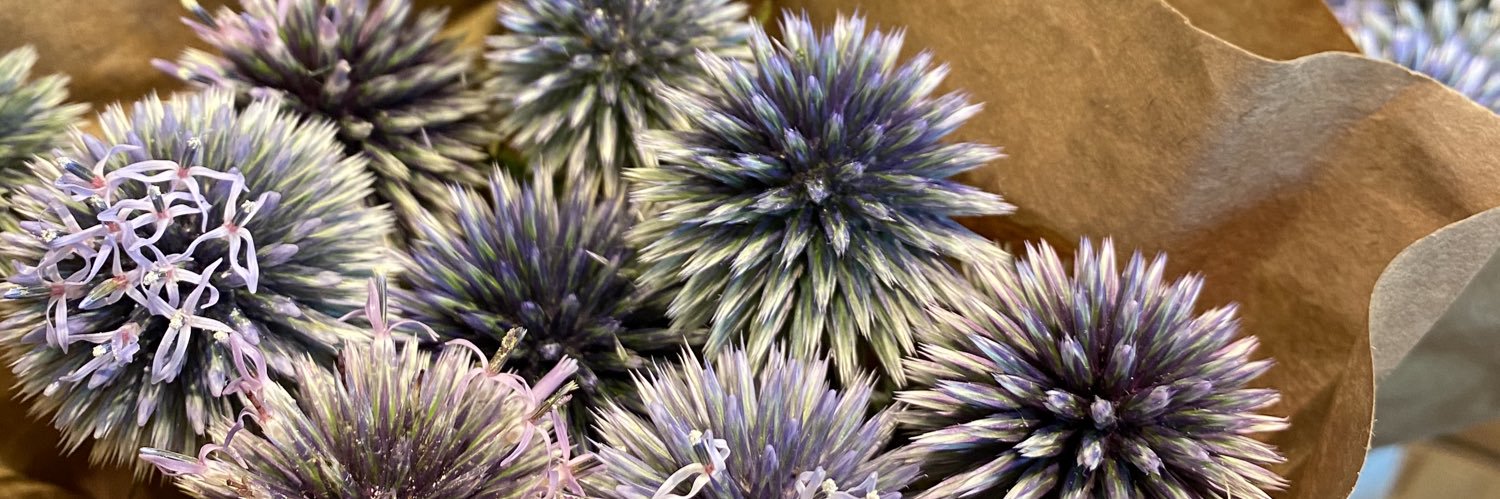 May Velaz 🌴 banner