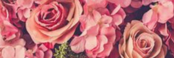 MiniatureMeg's profile banner image