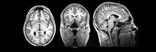 Dr_AlexDavidson Profile Banner