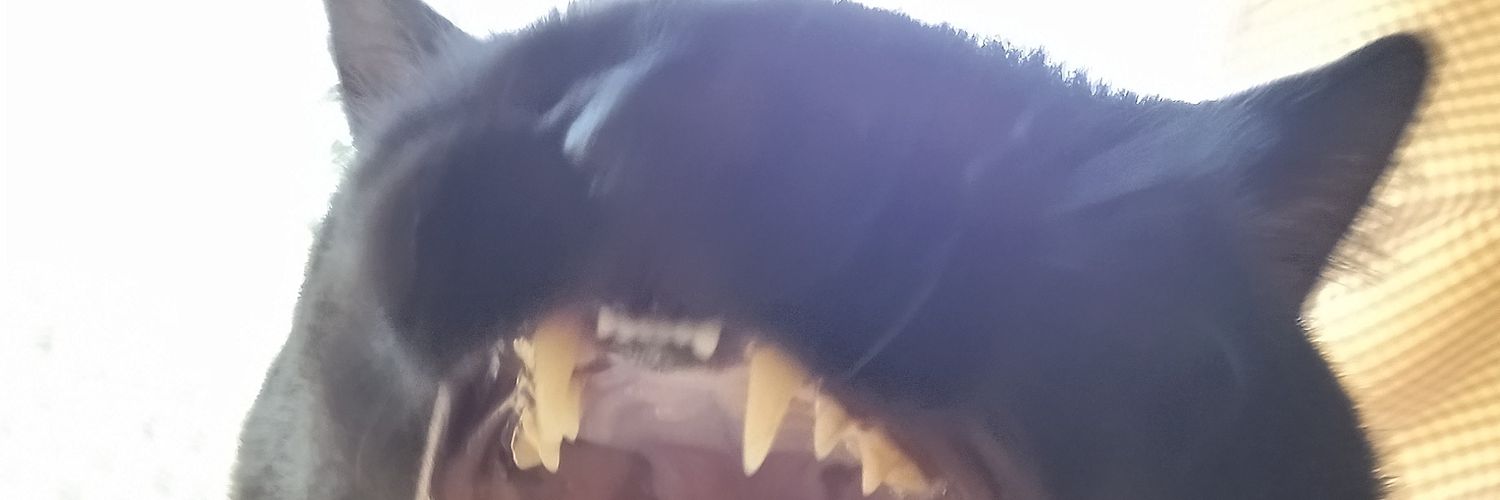 JetheusoMasus's profile banner image