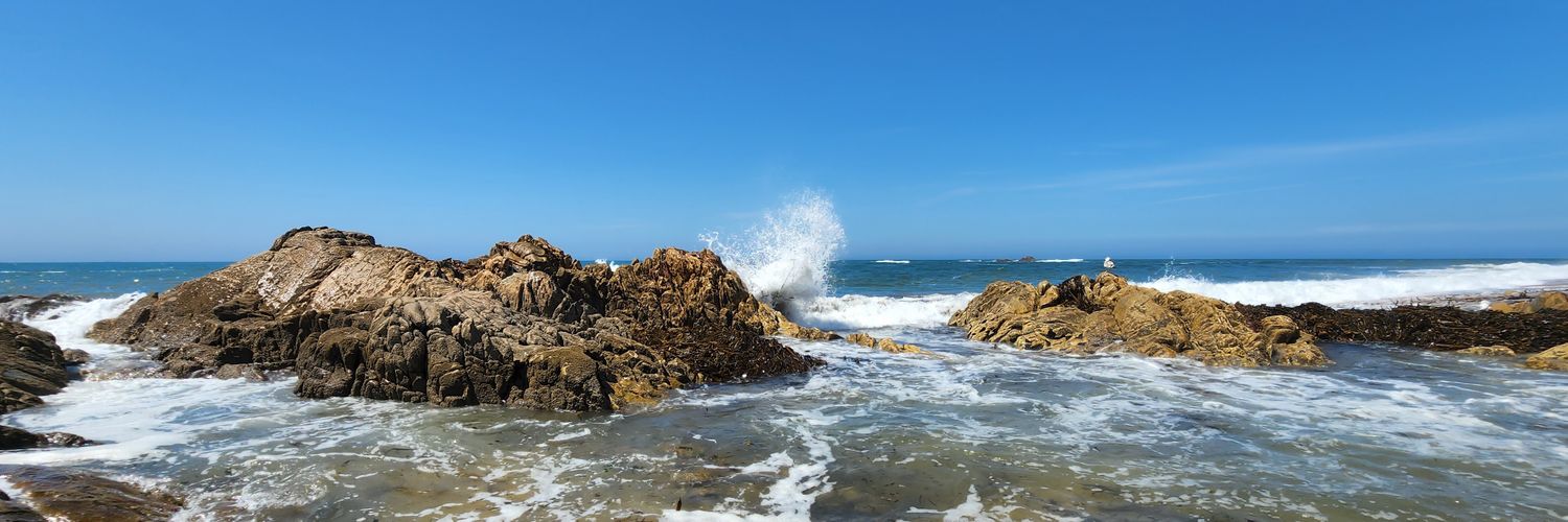 thatLEDWITHguy banner