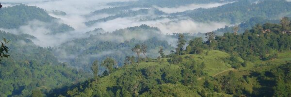 mirsabbir Profile Banner