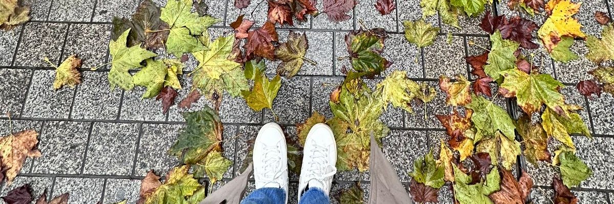 EjVasquezT's profile banner image