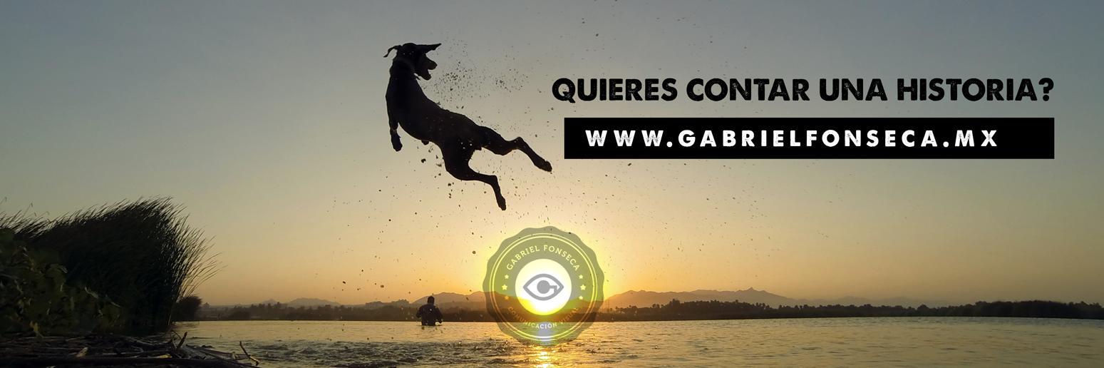 GabrielFonsecaV's profile banner image