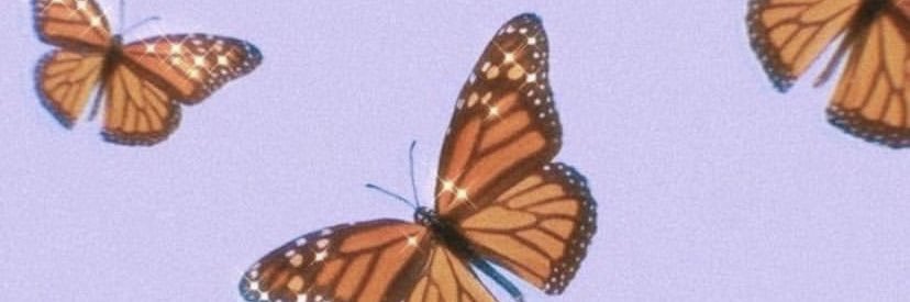 safadezza's profile banner image