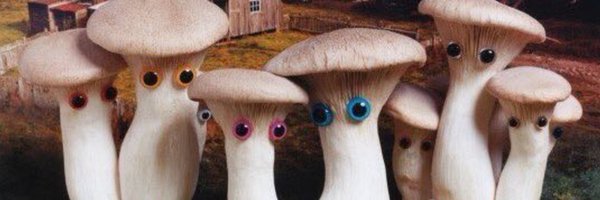 hehehehlolhehe Profile Banner