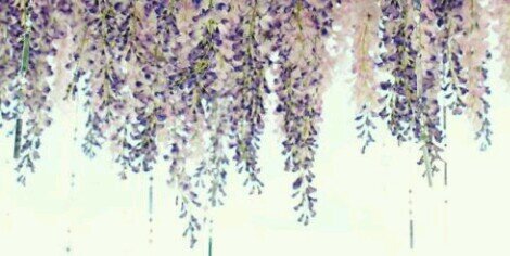 Sam_xoxoo's profile banner image