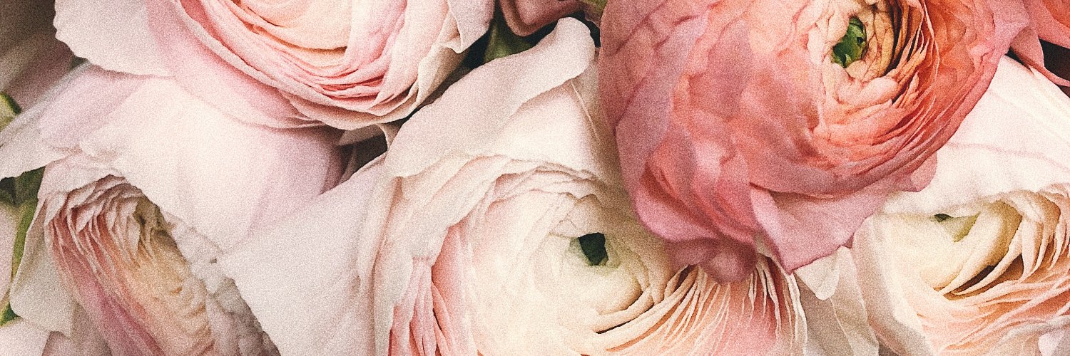 jocehdz's profile banner image