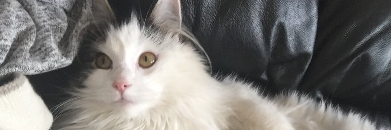 MarteAnne's profile banner image