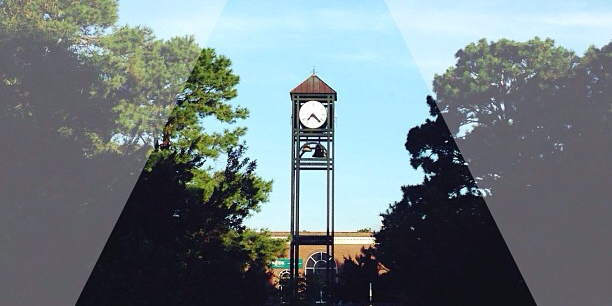 UNCW Ambassadors banner