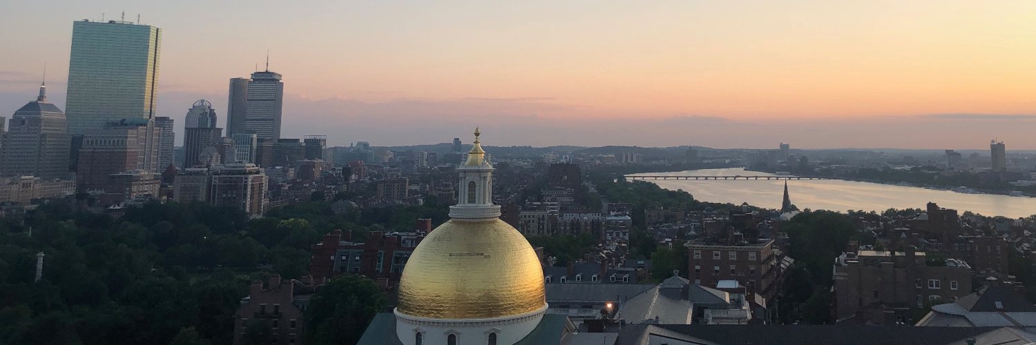 Whitney McFadden banner