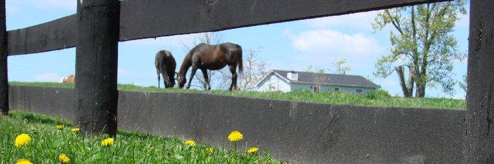Judy_Bryan's profile banner image