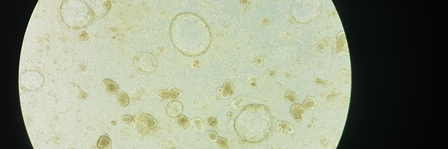 Dr. Vicky Forster banner