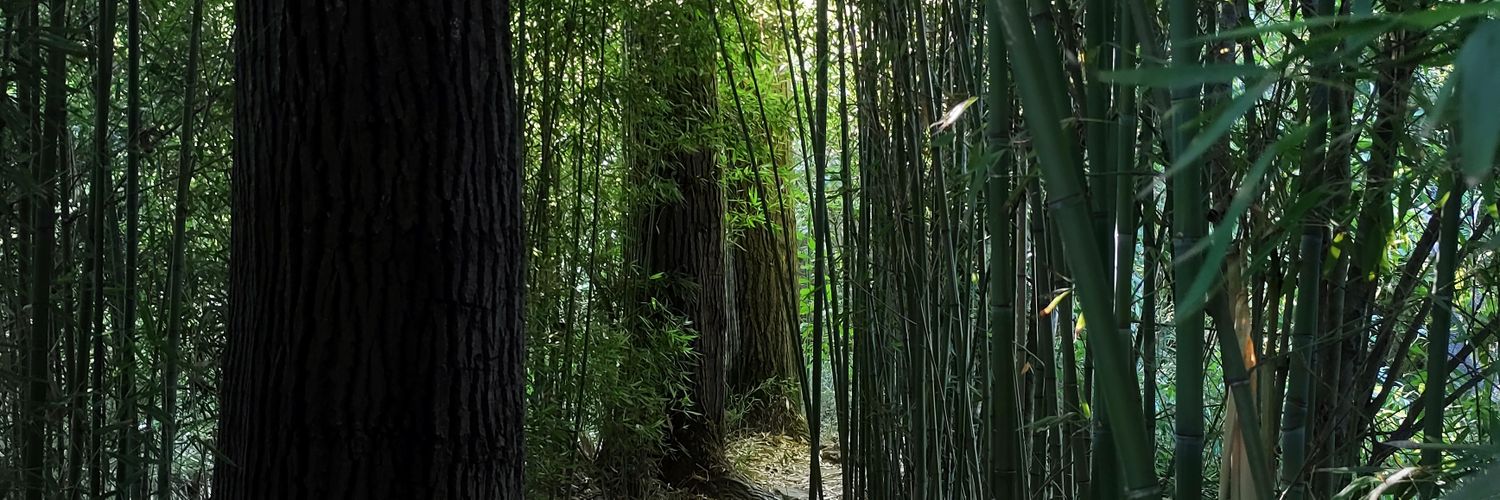 Cayusss's profile banner image