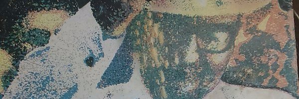PedroVerdejo's profile banner image