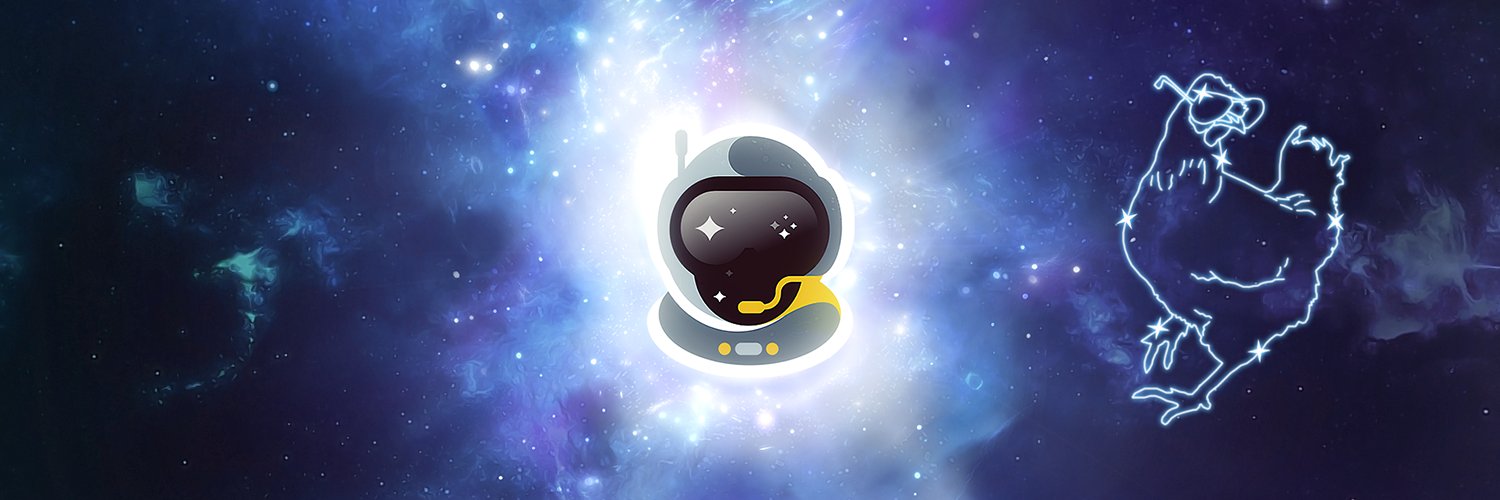SSG Chicken banner
