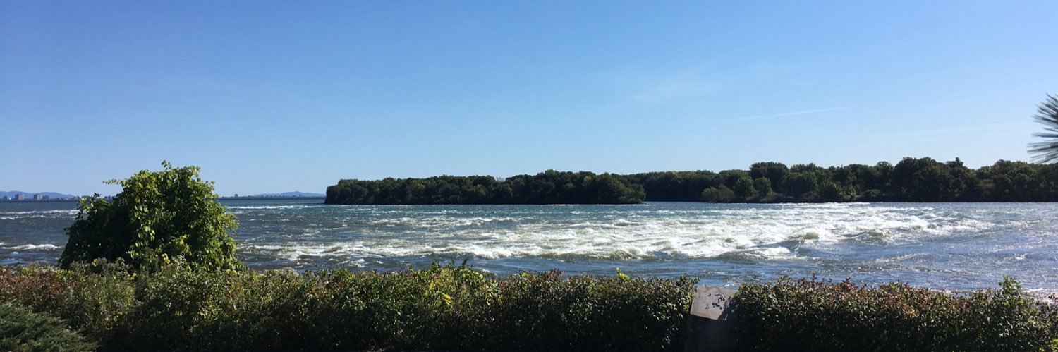 Daniel Manrique banner