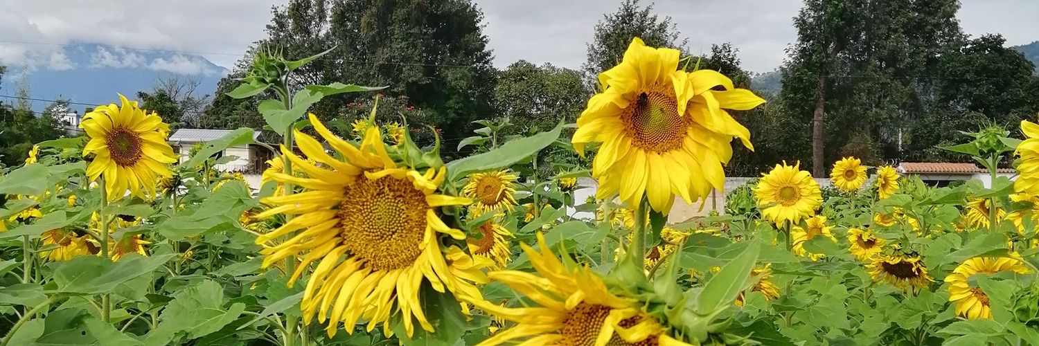 Lourdes 🐰🐰 banner