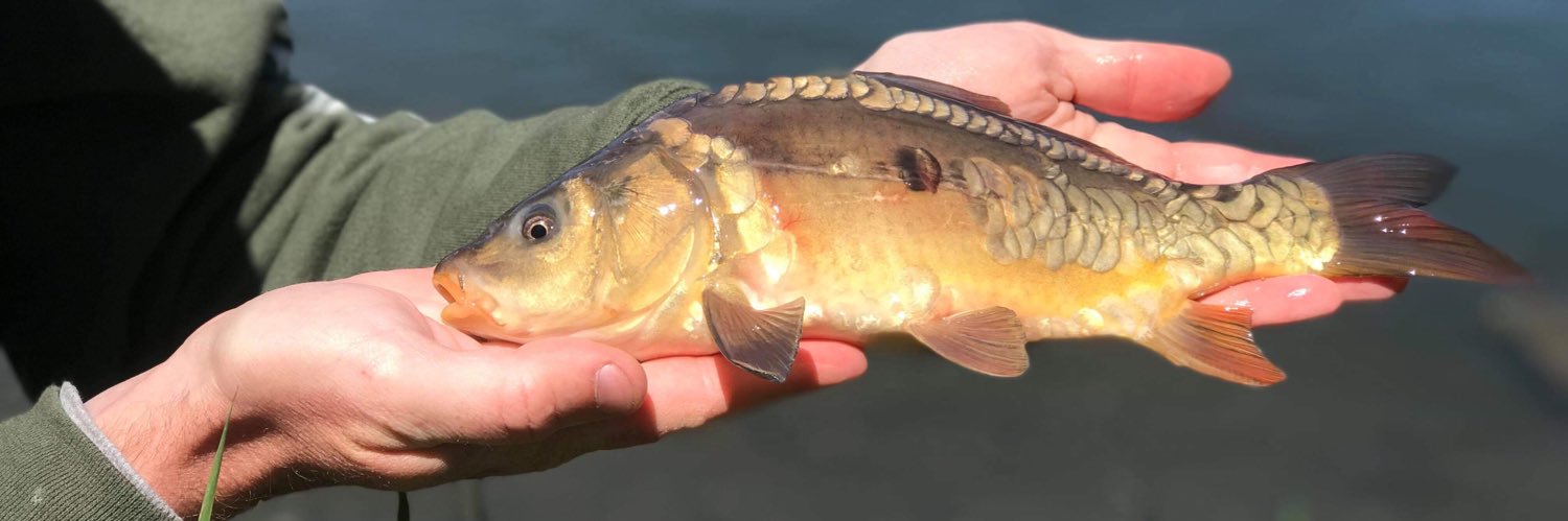 BIGCARPTACKLE's profile banner image