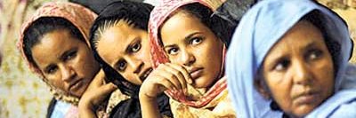 MariiamHamid's profile banner image