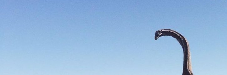 danirollo's profile banner image