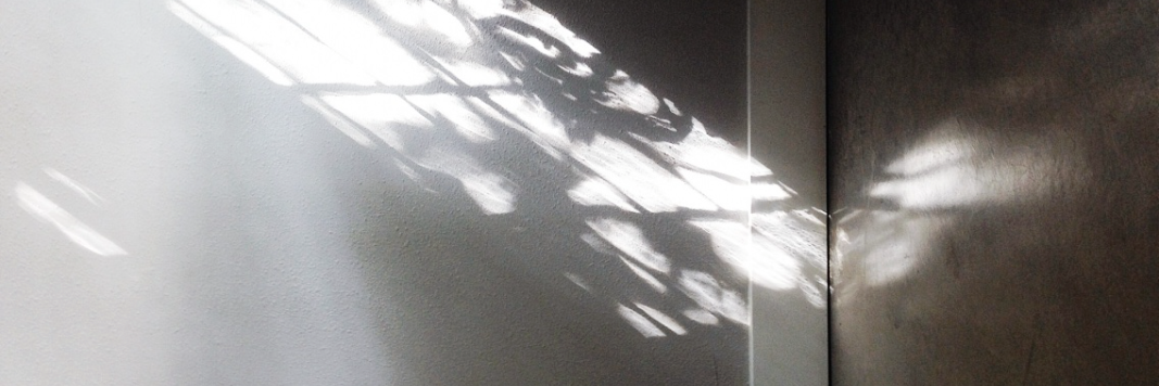Maggie Simmons banner