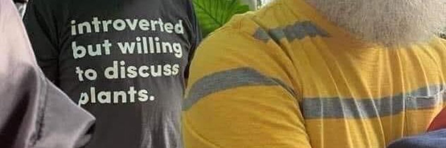 Aissling's profile banner image