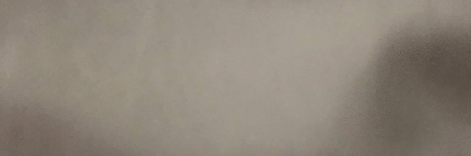 Sarha Nigrelli banner