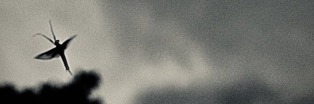 Weltkulturerbe (tm) banner