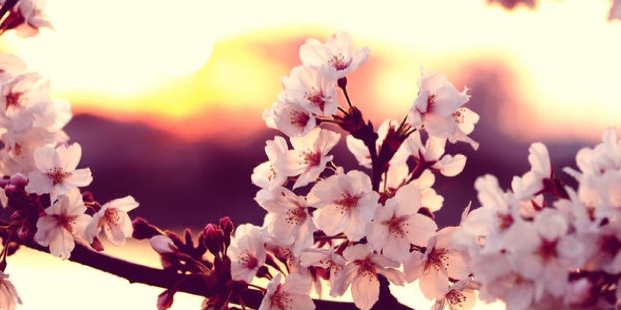 ClairaJ94's profile banner image