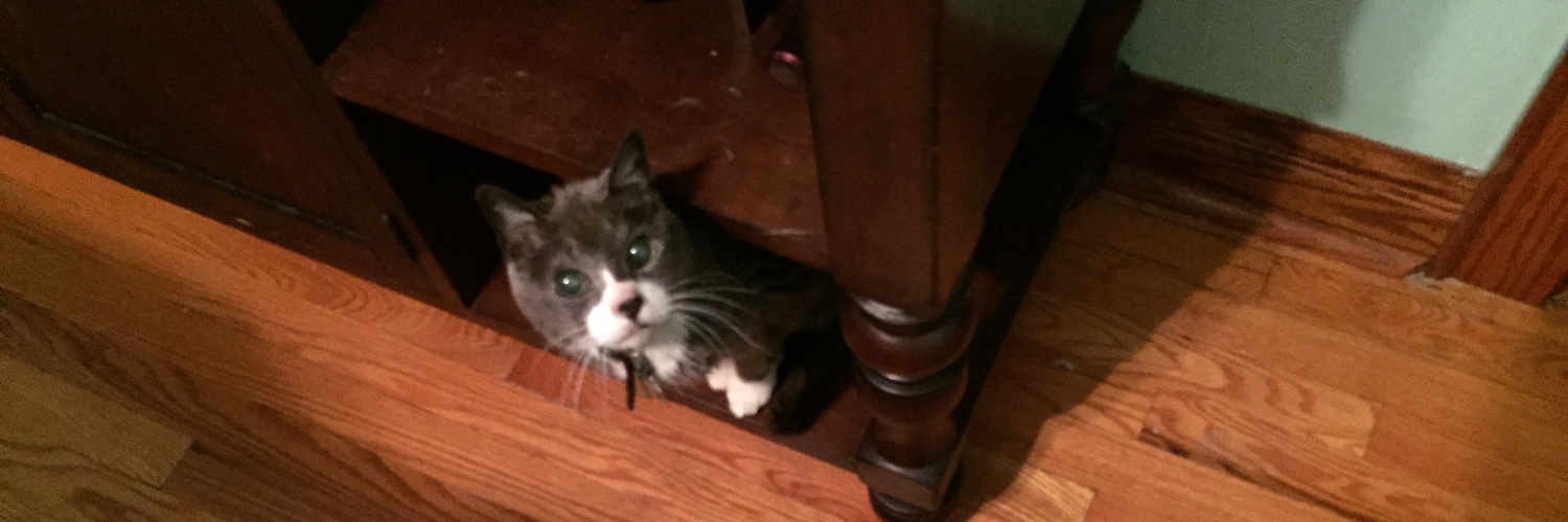 Drew 🏒🍾😎🎸🎸🎸 🎄 banner