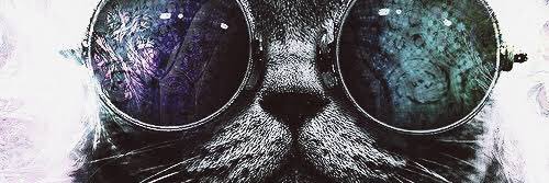 MahUckermann's profile banner image