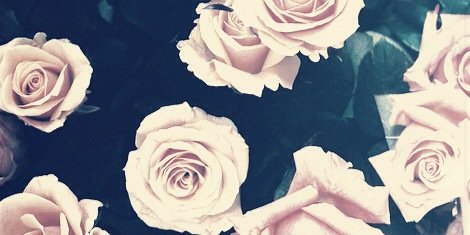interrogative's profile banner image