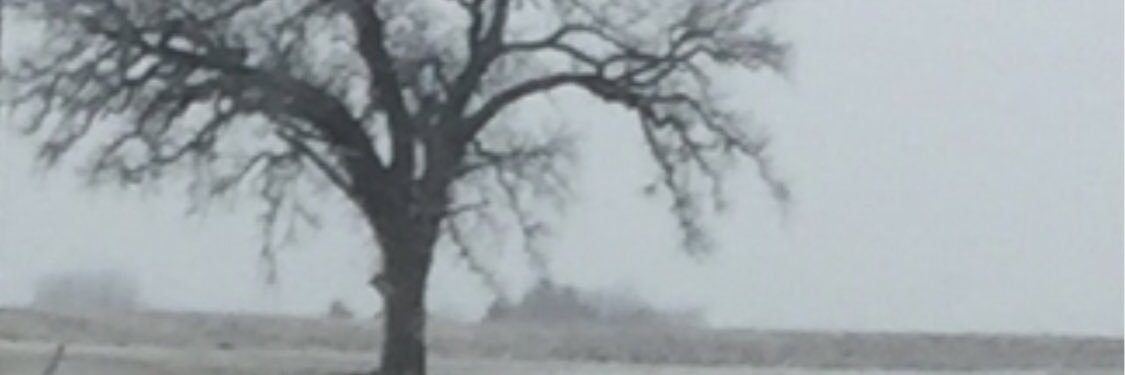 mblovesdotn's profile banner image