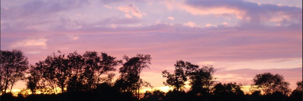Synoptical Viewer banner