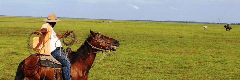 Arpa_Net's profile banner image