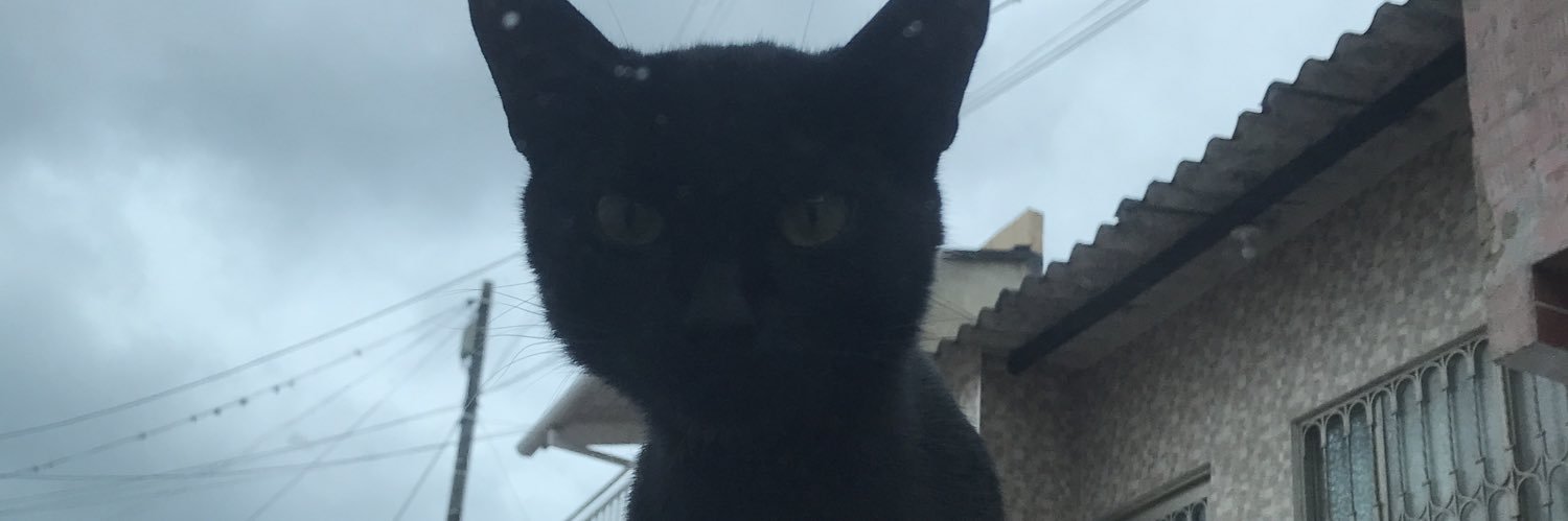 AleJaBitla's profile banner image