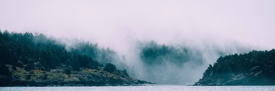 Joaquim da Rosa banner