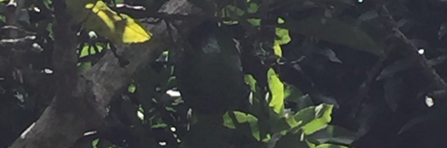 julios76's profile banner image