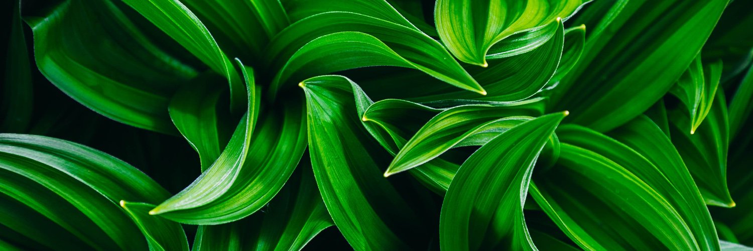 nick sharpe banner