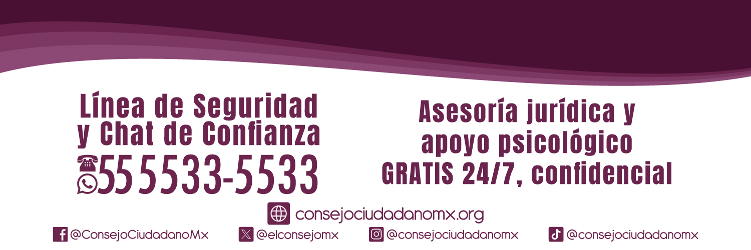 Consejo Ciudadano Mx banner
