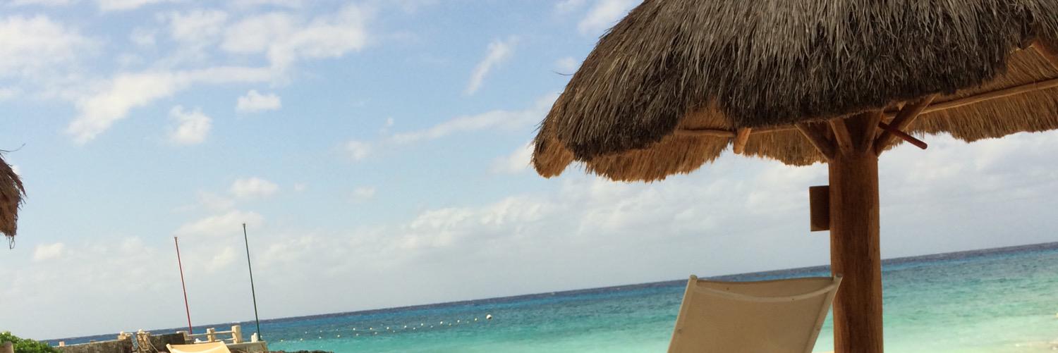 rdelangel73's profile banner image
